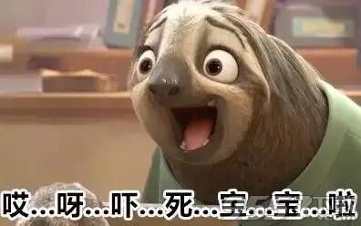 疯狂猜图 白狗 动o+_疯狂猜图一只狗答案汇总 讲解动漫狗 白狗 游戏狗答案