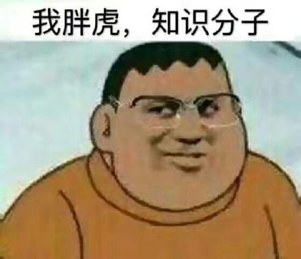 胖虎高清图