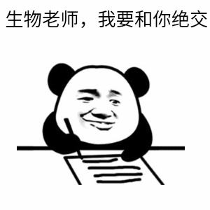 老师我要你