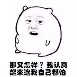 如何制作表情包_那又如何