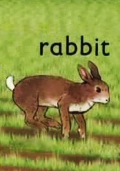 兔 上 映 2005-12-06 地 区 类 型 导 演 别 名 rabbit 兔子