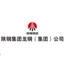 龙钢集团