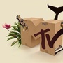 最美MTV