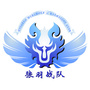 狼羽战队