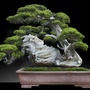 penjing