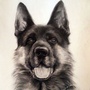 犬滋味