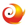 经典拍档