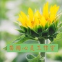NLP心灵成长工作坊