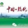 成丽锡纸厂