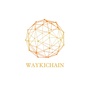 维基WaykiChain