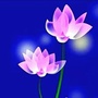 華下风采