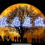 家在鹰城