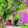 百年外院sfs100