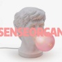senesorgan
