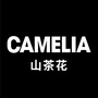 Camelia山茶花