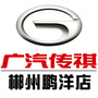 广汽传祺郴州鹏洋店