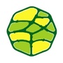 王木木公社