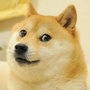 宠物部落