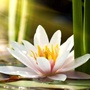 灿烂人生篇