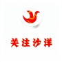 沙洋频道