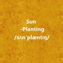 赵老师种太阳
