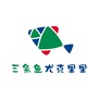 三只猫吉他工作室