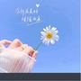 防弹壁纸