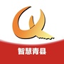 智慧青县