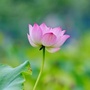 时事热点888