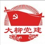 大柳党建
