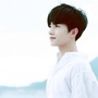 杨Y洋