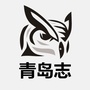 青岛志