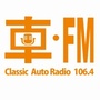 FM1064