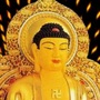 山西国博苑文物鉴定检测中心