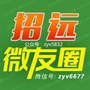 招远微友圈