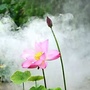 永州家装建材微讯