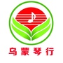 乌蒙琴行