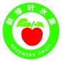 绿叶水果