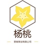 杨桃营销策划有限公司