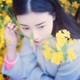 可好