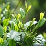 温州捷豹路虎商圈