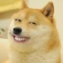 宠物人家