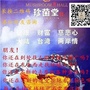 飞翔的翅膀1999