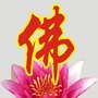 佛源禅雨