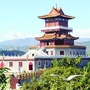 青龙微影