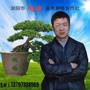 湖南浏阳市柏加镇璇丰苗圃