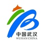 成都星八卦