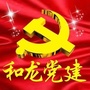 和龙党建