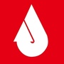 oilcn油讯