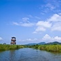 两美下渚湖街道